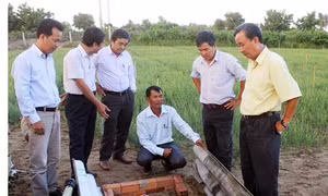 Ninh Thuận hướng đến sản xuất nông nghiệp hàng hóa có lợi thế cạnh tranh trên cánh đồng lớn