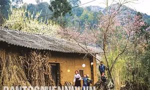 Hạnh phúc của trẻ thơ