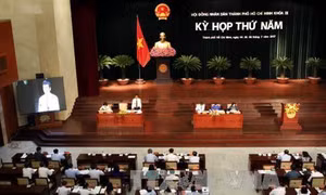 Kỳ họp thứ 5 HĐND Thành phố Hồ Chí Minh khóa IX: Chất vấn việc "giải cứu" nông sản