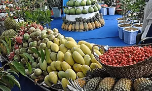 Tưng bừng khai mạc Lễ hội Trái cây Nam bộ năm 2017