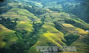 Đặc sắc Lễ hội mùa hè Sa Pa