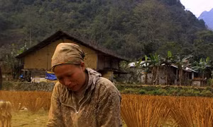 Nghề làm hương trầm ở Phja Thắp