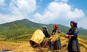Vĩnh Phúc nỗ lực giảm nghèo ở vùng đồng bào dân tộc thiểu số