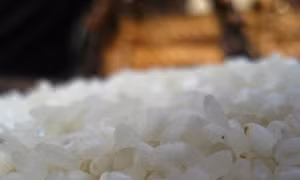 Dẻo thơm nếp Tú Lệ