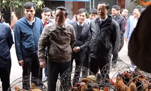 Kiểm tra an toàn thực phẩm trên tuyến biên giới Việt - Trung