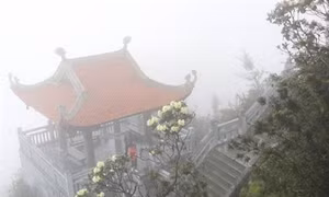 Fansipan - nơi mây vờn gió núi
