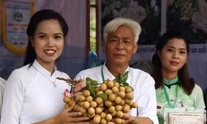 Đặc sắc Ngày hội "nhãn Sông Mã" năm 2017