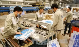 Chuyển đổi hộ kinh doanh ở Thành phố Hồ Chí Minh (Bài 1)