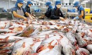 Cá tra Việt Nam đạt tiêu chuẩn hàng đầu trong siêu thị AEON ở Nhật