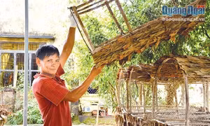 Nghề làm bóng mực ở Đức Lợi