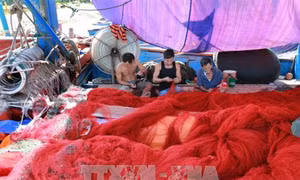Cơ hội để hoàn thiện hệ thống quản lý nghề cá ở Việt Nam
