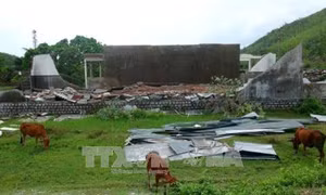 Liên minh châu Âu viện trợ Việt Nam khắc phục hậu quả bão số 12