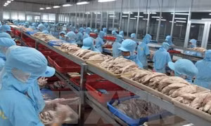 Phát triển vùng nguyên liệu nông, thủy sản gắn với chế biến và tiêu thụ