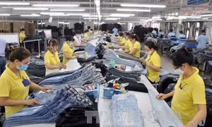 Thành phố Hồ Chí Minh​ với mục tiêu phát triển 500.000 doanh nghiệp (Bài 1)