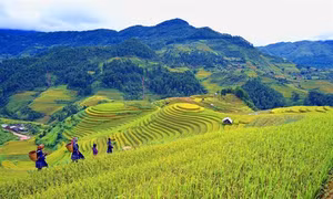 Cuối tuần Bắc bộ có mưa nhỏ vài nơi, ngày hửng nắng.