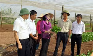 Hà Nội đầu tư xây dựng nông thôn mới
