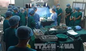Bệnh viện Chợ Rẫy thực hiện thành công các ca ghép đa tạng cùng lúc