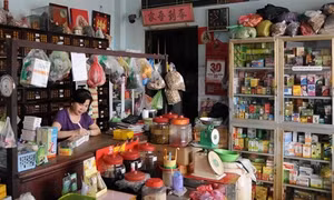 Thành phố Hồ Chí Minh phát triển phố Đông y thành điểm đến hấp dẫn khách du lịch