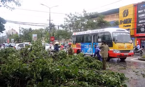 Chùm ảnh về thiệt hại và khắc phục hậu quả của bão số 2 ở các địa phương