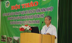 Xây dựng nền nông nghiệp hàng hóa, thích ứng biến đổi khí hậu