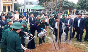 Phó Chủ tịch nước Đặng Thị Ngọc Thịnh tham gia Tết trồng cây tại Hòa Bình