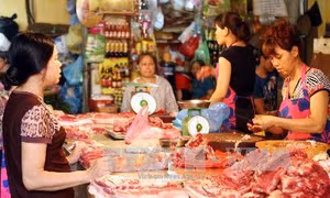 An toàn thực phẩm Hà Nội: Có kiểm tra là có sai phạm