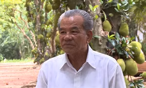 Cựu chiến binh Đoàn Minh Chiến làm giàu trên vùng đất chiến khu Đ