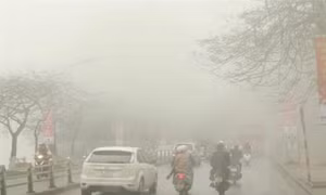 Thời tiết ngày 16/2: Bắc Bộ và Bắc Trung Bộ sáng có sương mù, trưa chiều trời nắng