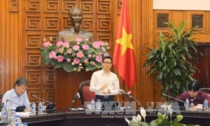 Phó Thủ tướng Vũ Đức Đam làm việc với các bộ, ngành về Quy hoạch tổng thể phát triển khu du lịch quốc gia Sơn Trà