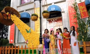 Thành phố Hồ Chí Minh trang hoàng lộng lẫy đón chào Tết Đinh Dậu 2017