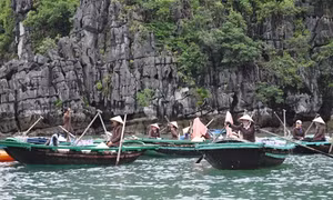 Phát triển bền vững vịnh Hạ Long (Bài 1)