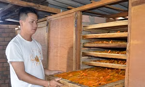 Khoai lang mật Đà Lạt: Từ nông trại tới bàn ăn