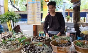 Du lịch ẩm thực ở Thành phố Hồ Chí Minh - từ tiềm năng đến thế mạnh