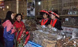 Khai mạc hội chợ đặc sản vùng miền Việt Nam