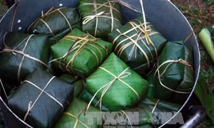 Nhộn nhịp làng bánh chưng ngày Tết