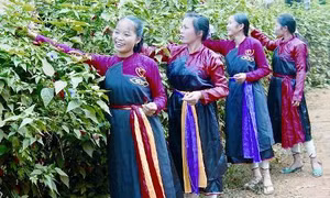 Hai bức tranh "Thần Nông và Địa Trạch" của người Cao Lan - Sán Chỉ