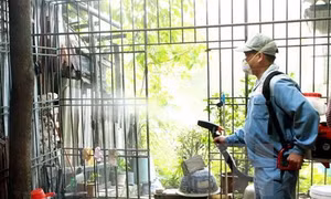 Bình Thuận chủ động triển khai công tác phòng chống bệnh sau mưa lũ
