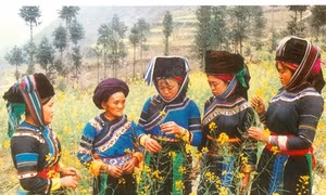 Người Cờ Lao