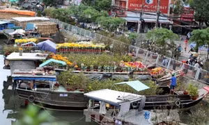 Chợ hoa Tết Bến Bình Đông nhộn nhịp vào những ngày giáp Tết Đinh Dậu 2017