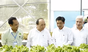 Thủ tướng Nguyễn Xuân Phúc thăm, làm việc tại tỉnh Bình Phước