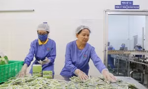Xây dựng thương hiệu du lịch xứ dừa Bến Tre