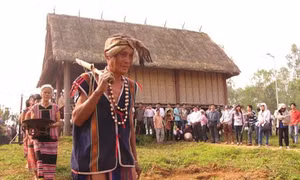 Người Brâu