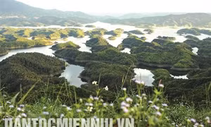 Tà Đùng - Hạ Long thu nhỏ ở Tây Nguyên