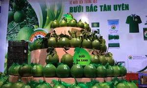 Bình Dương xây dựng thương hiệu cho cây ăn trái có múi