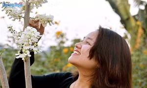Khu du lịch sinh thái KoTam hút hồn du khách thập phương