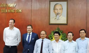 Cơ hội lớn cho thịt gà chế biến Việt Nam xuất khẩu đi EU