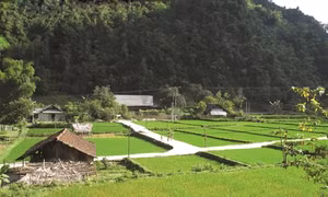 Xuân mới đang về với Lâm Bình