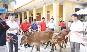 Phú Thọ nỗ lực giảm nghèo ở vùng đồng bào dân tộc thiểu số