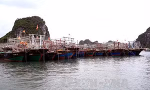 Quảng Ninh đẩy nhanh hỗ trợ ngư dân đóng tàu đánh bắt thủy sản xa bờ 