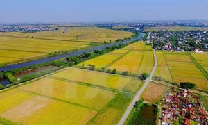Hà Nội khó khăn cấp giấy chứng nhận quyền sử dụng đất sau dồn điền đổi thửa